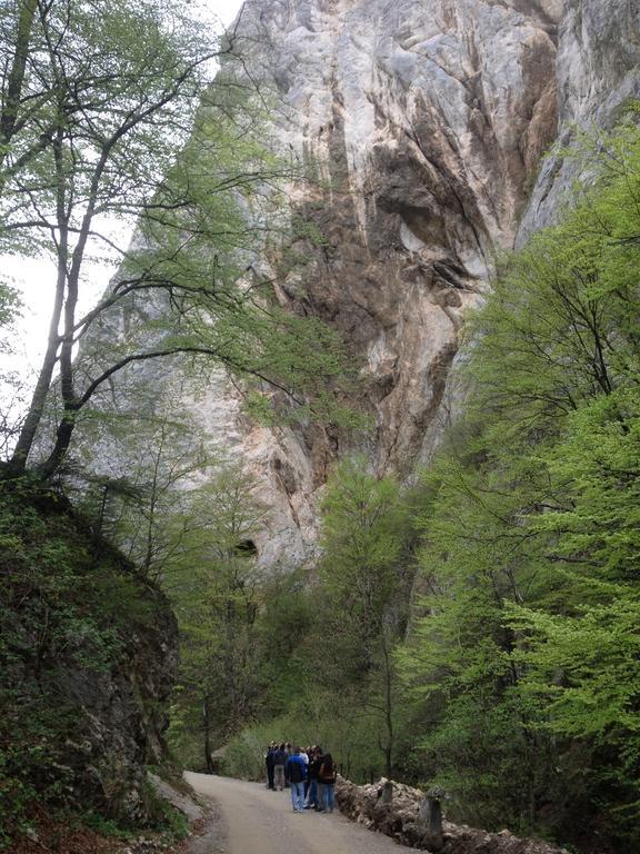 Rosenville Rîşnov Εξωτερικό φωτογραφία