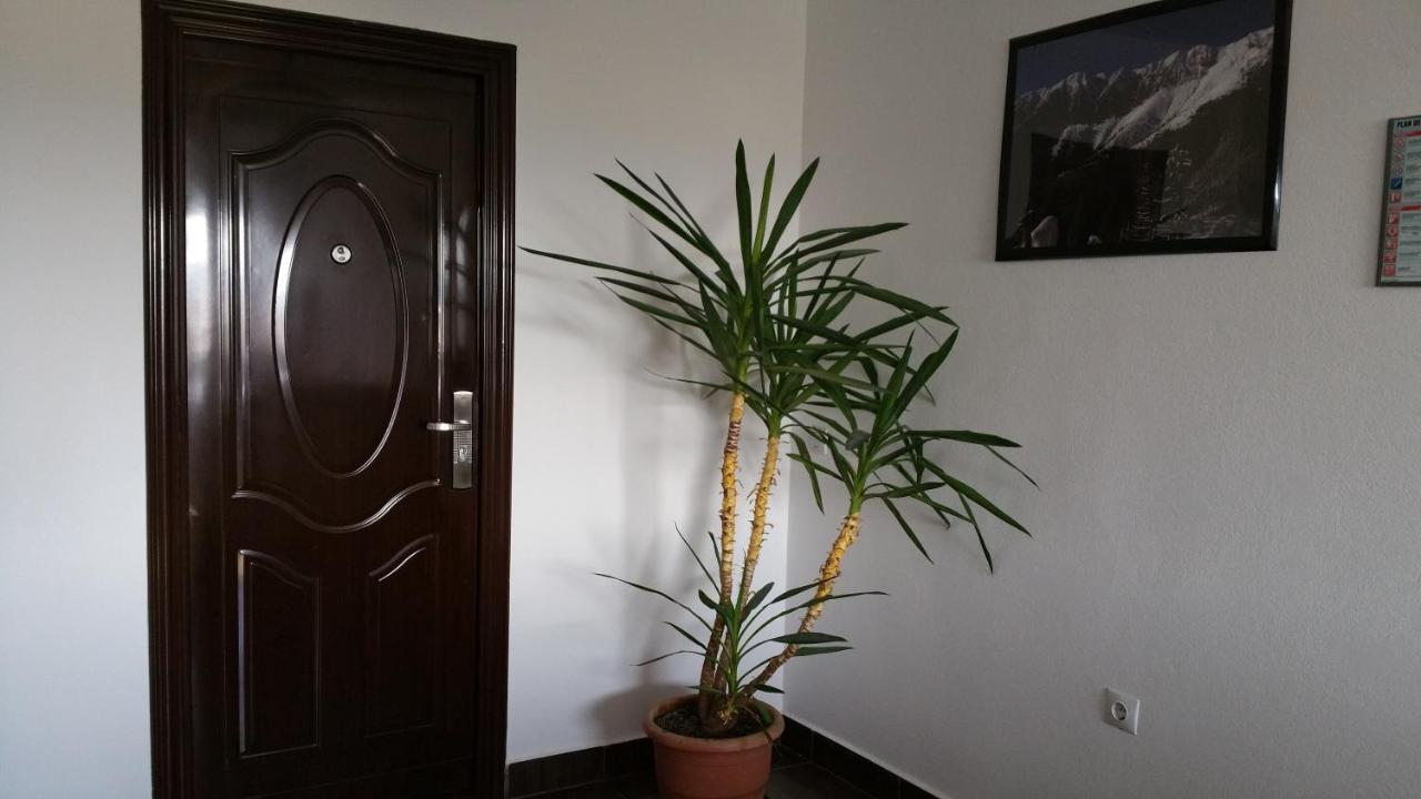 Rosenville Rîşnov Εξωτερικό φωτογραφία